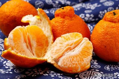 丑橘和粑粑柑营养的区别（丑橘和粑粑柑是转基因吗）-热图吧