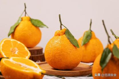 图片[2]-丑橘和粑粑柑营养的区别（丑橘和粑粑柑是转基因吗）-热图吧