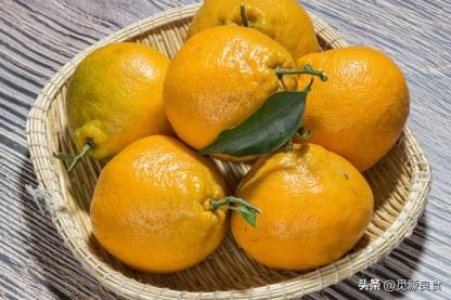 图片[4]-丑橘和粑粑柑营养的区别（丑橘和粑粑柑是转基因吗）-热图吧