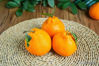 图片[7]-丑橘和粑粑柑营养的区别（丑橘和粑粑柑是转基因吗）-热图吧